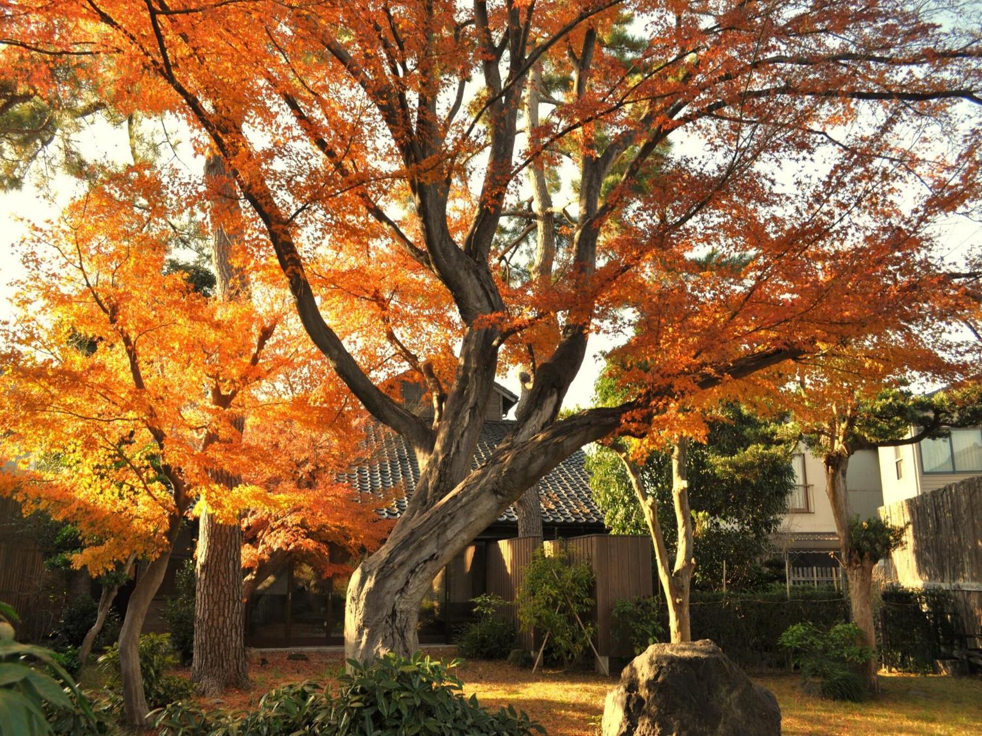 Machi No Odoriba Hotel Kanazawa Bagian luar foto